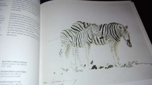 ETOSHA Animal Art of Etosha Department of Agriculture South West Africa