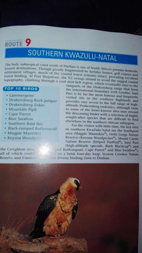 SASOL SOUTHERN AFRICAN BIRDFINDER Where to Find 1400 Bird Species in Southern Africa and Madagscar