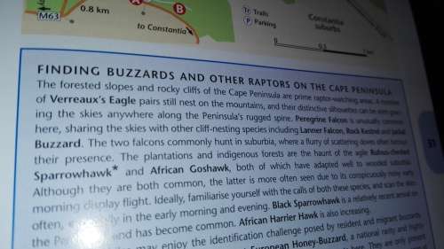 SASOL SOUTHERN AFRICAN BIRDFINDER Where to Find 1400 Bird Species in Southern Africa and Madagscar