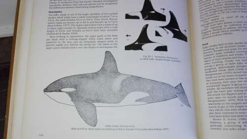 THE MAMMALS OF THE SOUTHERN AFRICAN SUBREGION BY REAY H N SMITHERS First Edition 1983