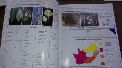 3 X Marthius Steyn Tree Identification Guide  ;  Acacias ; S A Ficus ; S A Com, plus 1 Item For YVES