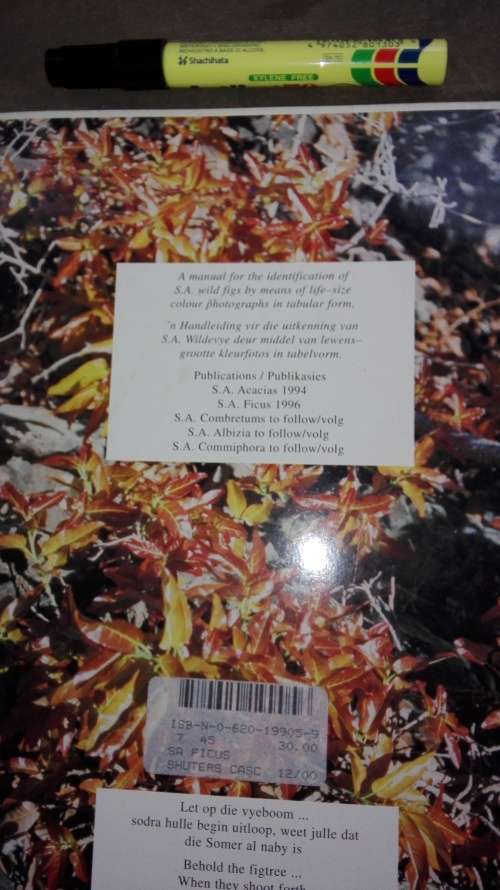 3 X Marthius Steyn Tree Identification Guide  ;  Acacias ; S A Ficus ; S A Com, plus 1 Item For YVES