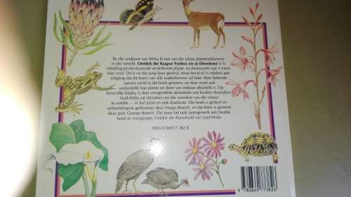 ONTDEK DIE KAAPSE FYNBOS EN SY DIERELEWE MARGO BRANCH