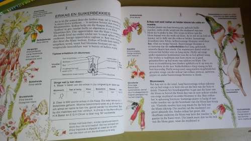 ONTDEK DIE KAAPSE FYNBOS EN SY DIERELEWE MARGO BRANCH