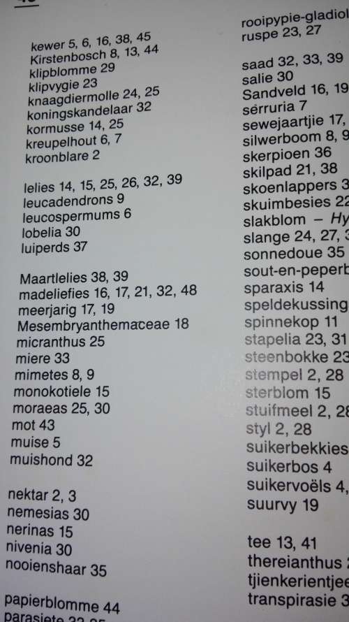 ONTDEK DIE KAAPSE FYNBOS EN SY DIERELEWE MARGO BRANCH