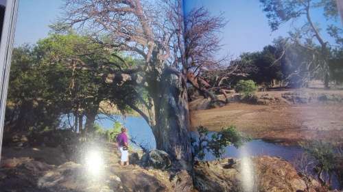 RIVER of GOLD Narratives and Exploration of the Great Limpopo Peter Norton Michael Gardner Clive Wal