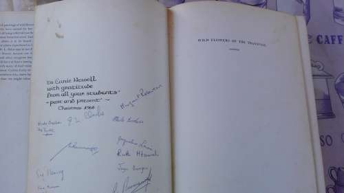 WILD FLOWERS OF THE TRANSVAAL CYTHNA  LETTY ( wildflowers )