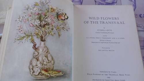 WILD FLOWERS OF THE TRANSVAAL CYTHNA  LETTY ( wildflowers )