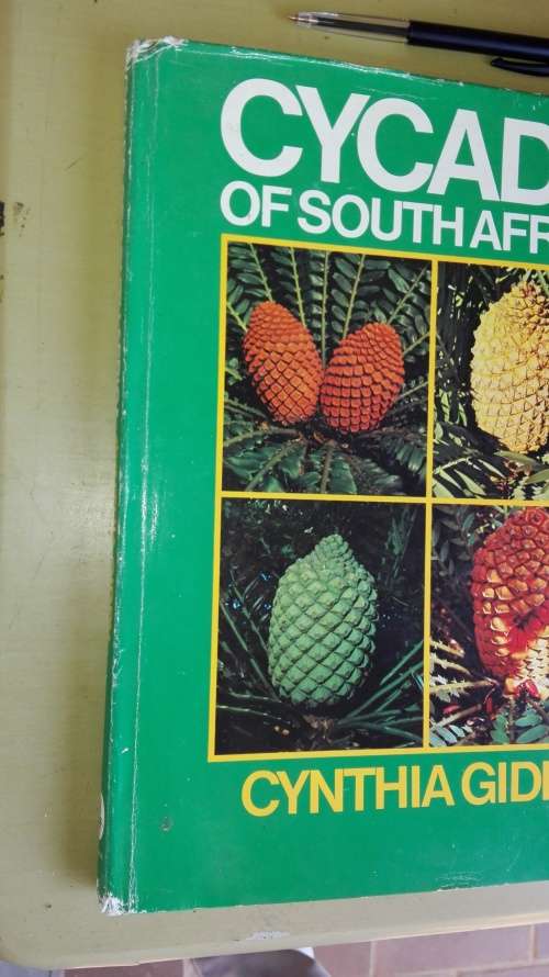 CYCADS OF SOUTH AFRICA CYNTHIA GIDDY ( Signed )
