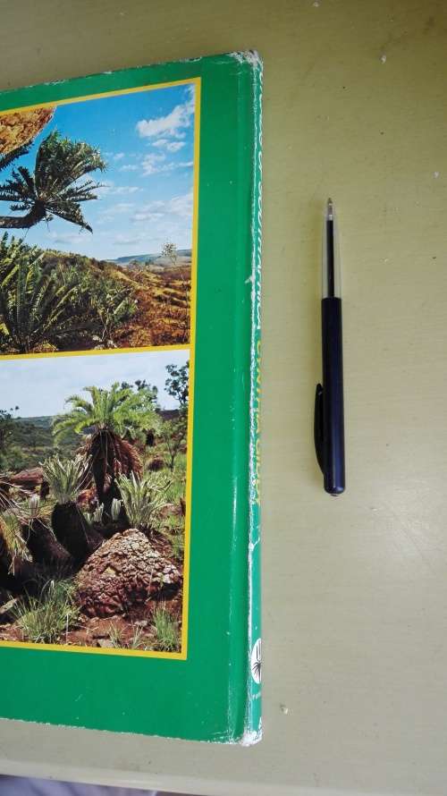 CYCADS OF SOUTH AFRICA CYNTHIA GIDDY ( Signed )