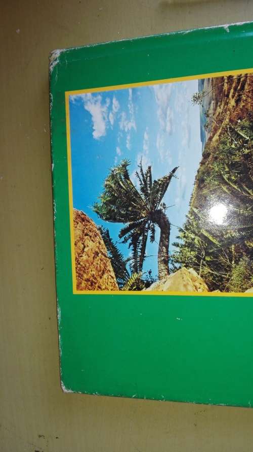 CYCADS OF SOUTH AFRICA CYNTHIA GIDDY ( Signed )