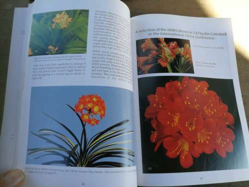 CLIVIA FIVE Edited by Mick Dower Claude Felbert John van der Linde John Winter