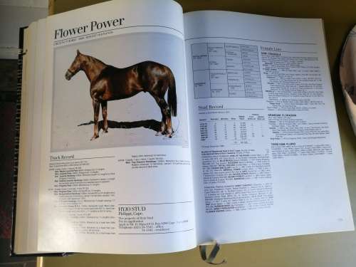 FORM STALLION REGISTER Volume 3 1986 Editor ; CHARLES FAULL ( Volume III ) Horse Racing Breeding