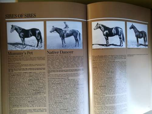 FORM STALLION REGISTER Volume 3 1986 Editor ; CHARLES FAULL ( Volume III ) Horse Racing Breeding