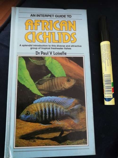 AN INTERPET GUIDE to AFRICAN CICHLIDS Dr Paul V LOISELLE ( Tropical Freshwater Fishes fish)