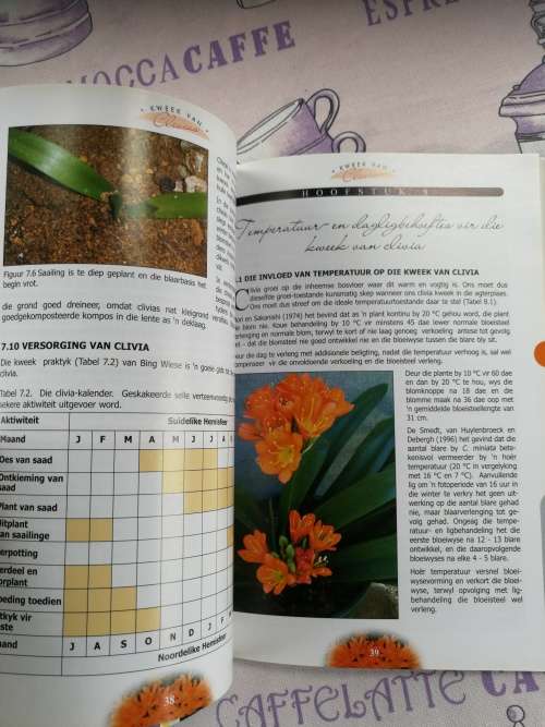 KWEEK VAN CLIVIAS deur Lena van der Merwe Hannes Robbertse Bossie de Kock