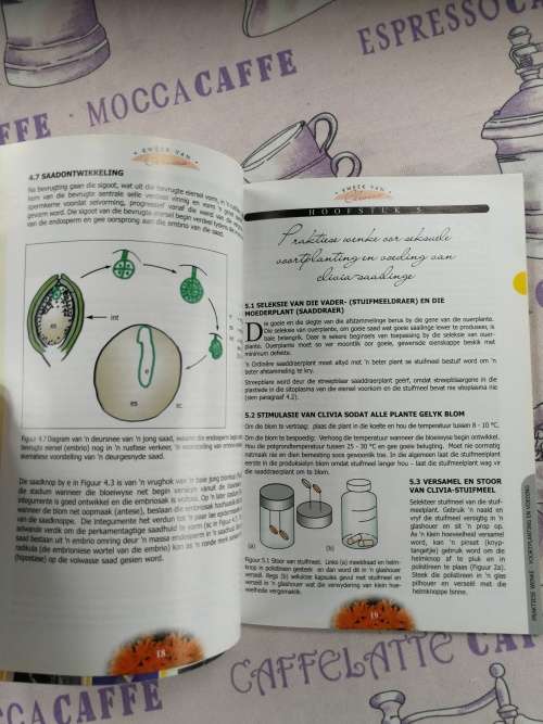 KWEEK VAN CLIVIAS deur Lena van der Merwe Hannes Robbertse Bossie de Kock