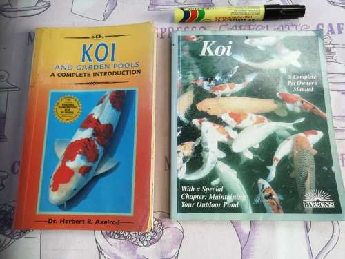 2 BOOKS ON KEEPING KOI FISH  ; KOI GEORGE C BLASIOLA II Barrons plus KOI  and GARDEN POOLS AXELROD