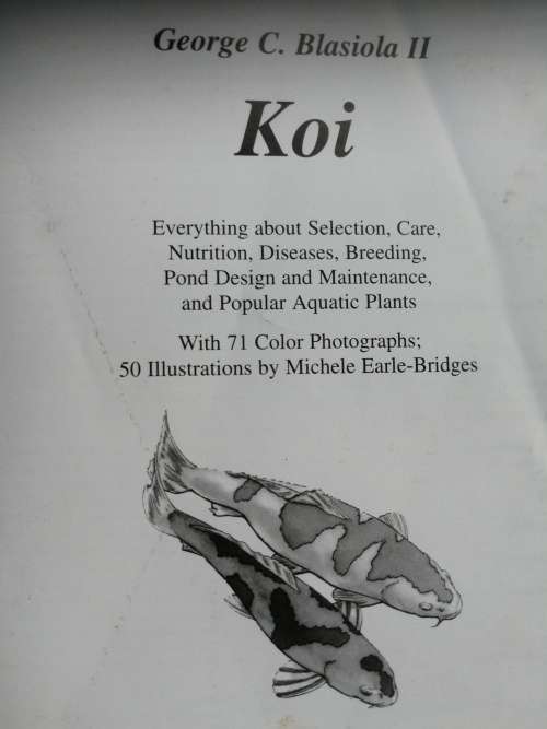 2 BOOKS ON KEEPING KOI FISH  ; KOI GEORGE C BLASIOLA II Barrons plus KOI  and GARDEN POOLS AXELROD