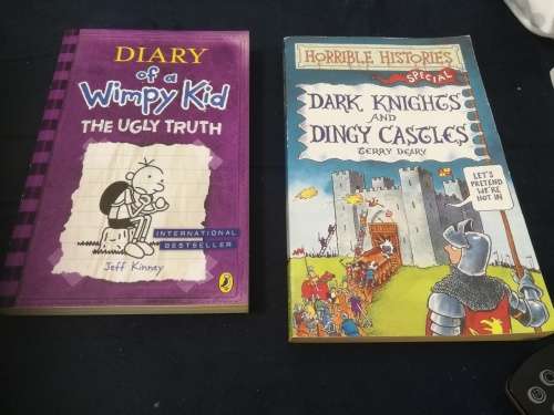 TWO Books DIARY of a Wimpy Kid The Ugly Truth plus Dark Knights and Dingy Castles Jeff Kinney