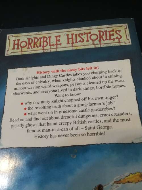 TWO Books DIARY of a Wimpy Kid The Ugly Truth plus Dark Knights and Dingy Castles Jeff Kinney