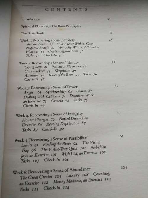 THE ARTIST`S WAY A Course in Discovering and Recovering your Creative Self JULIA CAMERON ( Artists)