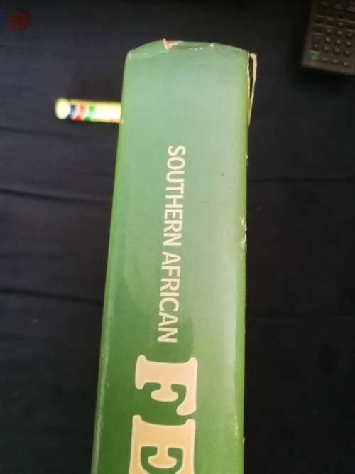 SOUTHERN AFRICAN FERNS AND FERN ALLIES  J E BURROWS