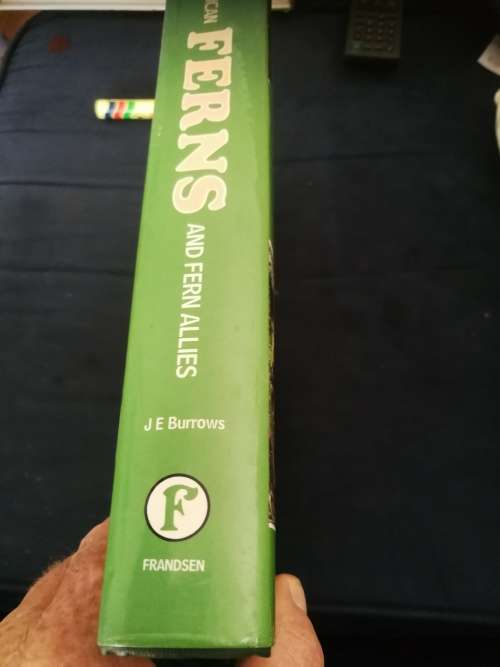 SOUTHERN AFRICAN FERNS AND FERN ALLIES  J E BURROWS