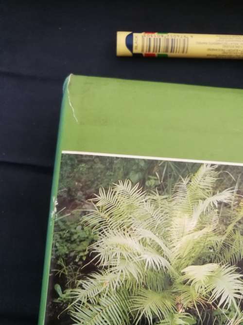 SOUTHERN AFRICAN FERNS AND FERN ALLIES  J E BURROWS