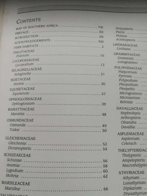 SOUTHERN AFRICAN FERNS AND FERN ALLIES  J E BURROWS