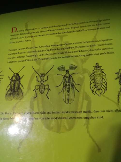 KAFER BERNHARD KLAUSNITZER ( Book in German )