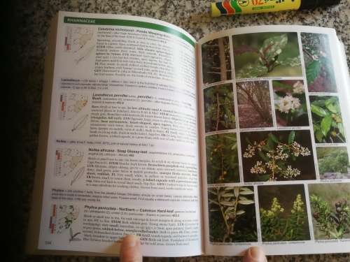 POOLEY`S TREES OF EASTERN SOUTH AFRICA A COMPLETE GUIDE RICHARD BOON