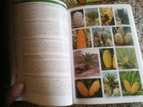 POOLEY`S TREES OF EASTERN SOUTH AFRICA A COMPLETE GUIDE RICHARD BOON