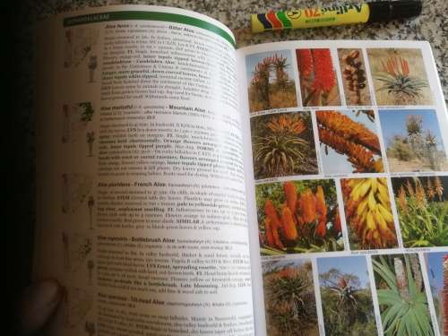 POOLEY`S TREES OF EASTERN SOUTH AFRICA A COMPLETE GUIDE RICHARD BOON