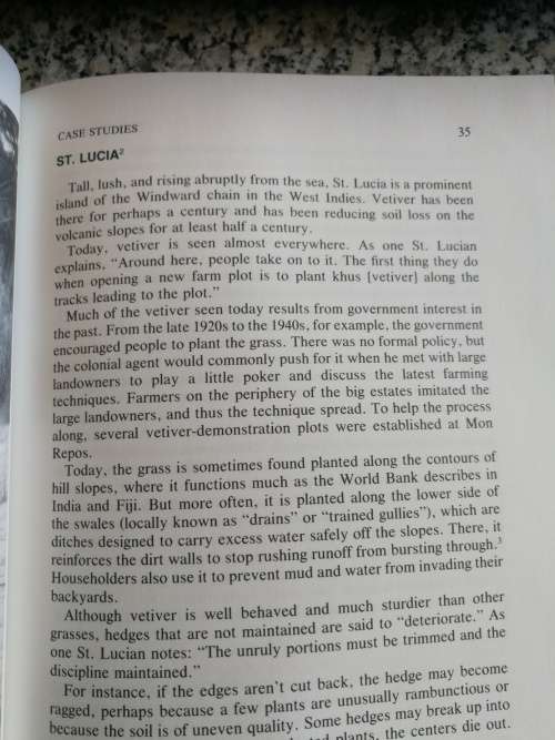 VETIVER GRASS A thin green line against erosion grasses soil erosion