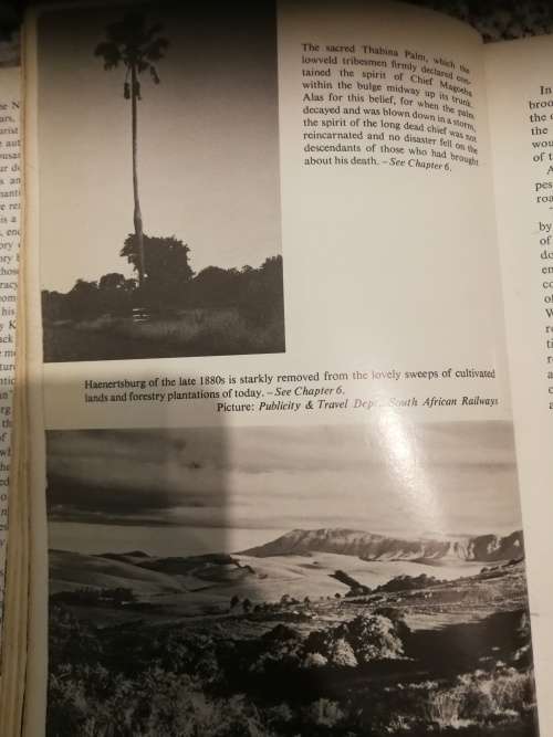 VALLEY OF THE MISTS HARRY KLEIN (  ex Library book )