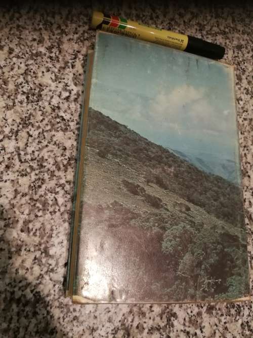 VALLEY OF THE MISTS HARRY KLEIN (  ex Library book )