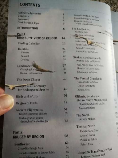 BEST BIRDING IN KRUGER BRETT HILTON-BARBER and LOU ARTHUR ( Kruger National Park birds bird watching