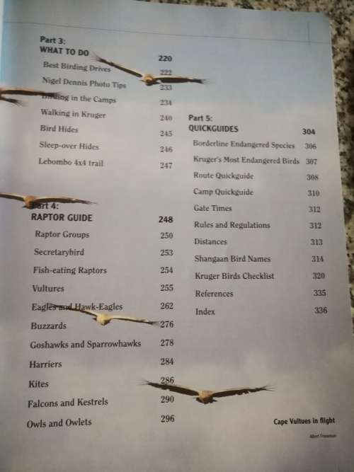 BEST BIRDING IN KRUGER BRETT HILTON-BARBER and LOU ARTHUR ( Kruger National Park birds bird watching