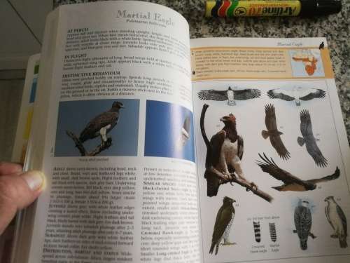 BIRDS OF PREY OF AFRICA AND ITS ISLANDS ALAN and MEG KEMP SASOL ( bird watching  eagles etc )