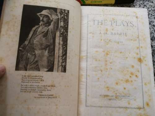 THE PLAYS OF J M BARRIE IN ONE VOLUME  (  including Peter Pan )