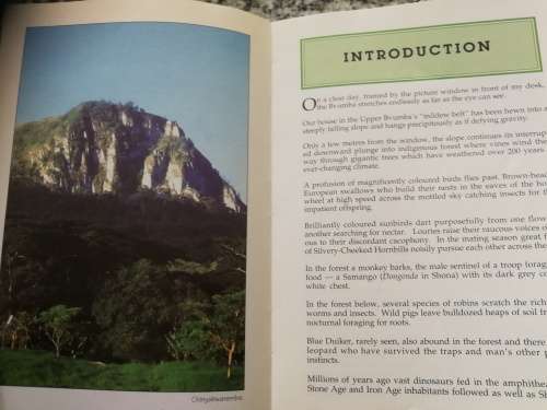 BVUMBA MAGIC IN THE MIST ZIMBABWE Where to Stay , What to See and Do Travel Guide history  Rhodesia