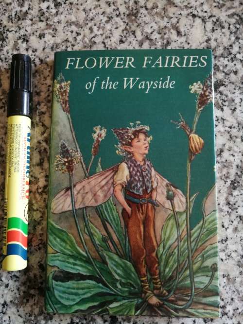 Reserved for Handwoven Artist CICELY MARY BARKER FLOWER FAIRIES OF THE WAYSIDE