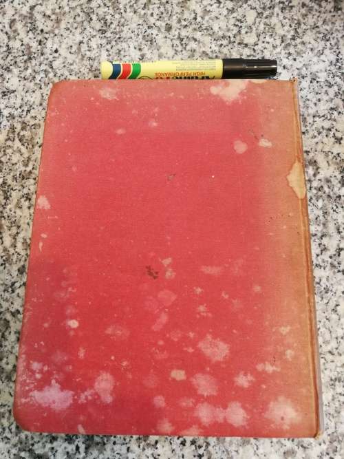 Mr JORROCKS LECTORS  from Robert Surtees` HANDLEY CROSS  with Illustrations by G D ARMOUR 1924