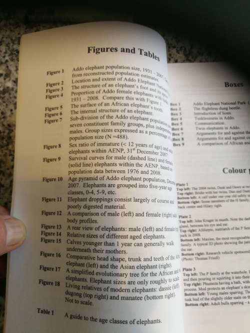 A FIELD GUIDE TO THE ADDO ELEPHANTS ANNA WHITEHOUSE PAT IRWIN & KATIE GOUGH  wildlife game reserve )