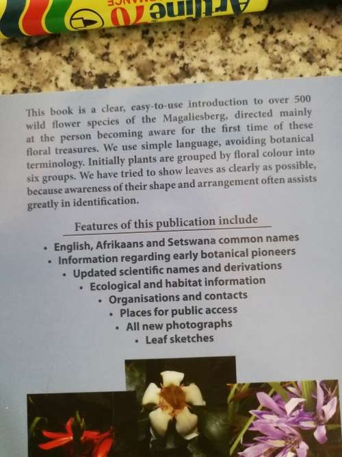 WILD FLOWERS OF THE MAGALIESBERG KEVIN GILL ANDRY ENGELBRECHT  wildflowers