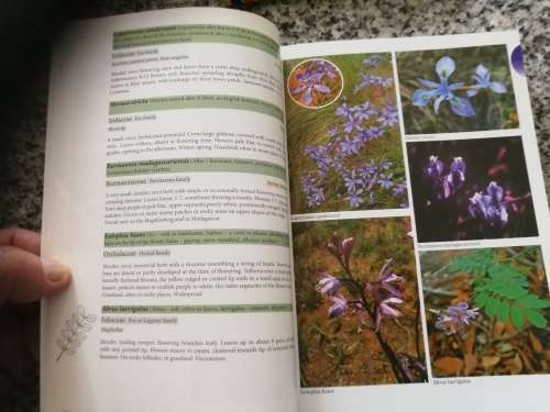 WILD FLOWERS OF THE MAGALIESBERG KEVIN GILL ANDRY ENGELBRECHT  wildflowers