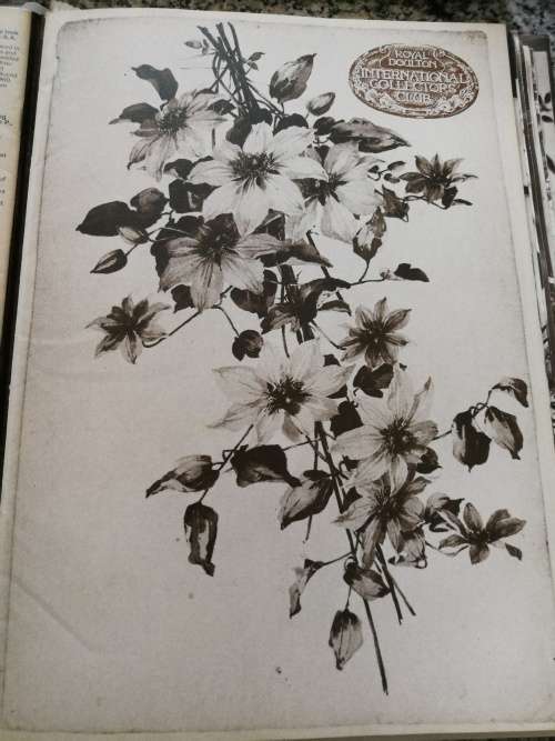 ROYAL DOULTON MAGAZINES INTERNATIONAL COLLECTORS CLUB 1980 -1983  11 in a Binder