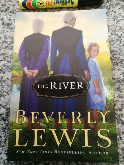 Bundle of 3 Books KAREN KINGSBURY BEVERLY LEWIS Christian books