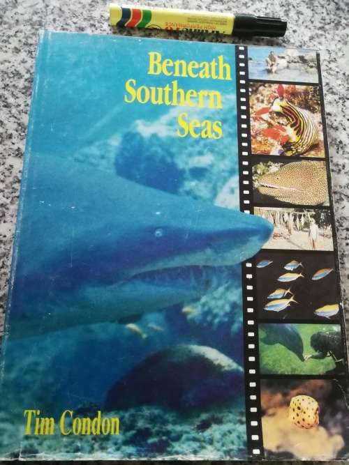 BENEATH SOUTHERN SEAS TIM CONDON (  S Africa skindiving diving history shipwrecks